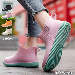  CV[Y fB[X TChSA V[g Cu[c Sh V[gC V[gu[c C u[c JC  킢 h ~ ₷ 傫TC