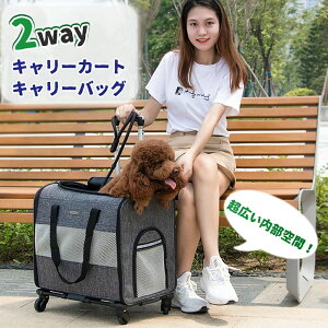 ybg L[obO LX^[t ܂肽 ybgJ[g L  bN J[g ybgobO L[bN L[J[g