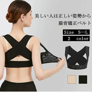  ͂ 2Zbg w  xg oXgAbv Lwxg Lw p fB[Xp p Ci[ pxg ␳ w؋ w؃T|[gCi[ {fBX[c 