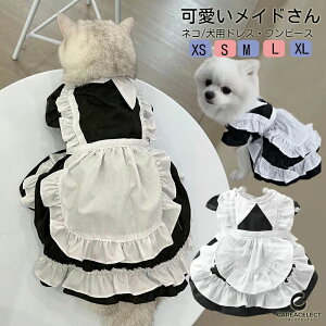 nEB Ch RXv L  RXv RX`[ Ch s[X [X Pl t hX Lp p Ch ybg  ^ ^ RX`[ [^ RX