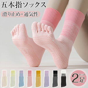 ܖ{w\bNX fB[X ~ K\bNX 5{w ~ ZbgX|[c\bNX ~ 5{w\bNX C fB[X ܖ{w ʋCQ z w ܖ{wC  C V