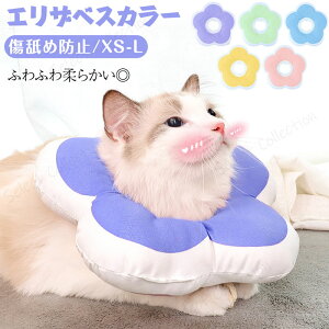 GUxXJ[ L \tg GUxXJ[ h[ic Lp \tgGUxXJ[ pyʃh[ic^Cv H pi ȎyʏpEFAی쏝rߖh~ ~h~
