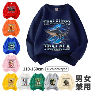 �C�^���A���u���C�� ���b�g �X�E�F�b�g Italian brainrot ���� �H�� �g�D���g�D���g�D���T�t�[���X�E�F�b�g �^�^�^�^�T�t�[�� �C�^���A���u���C�����b�g �q���� ����T�V���c �L�b�Y �X�E�F�b�g 