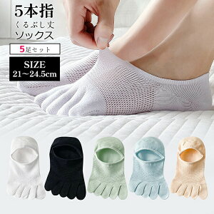 5{w\bNXfB[X 5Zbg ܖ{w\bNX ėp  C fB[X Ԃ bV 5{w 5{wC ܖ{wC   Xj[J[\bNX Ԃ\bNX Vv 