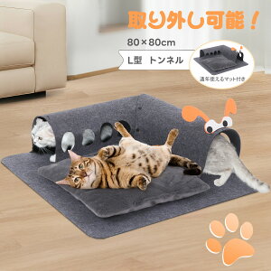 L^ L L xbh gl }bg  lR̐Q NbV ʔNgp LV Lbg Cat Toys Lbggl 8 킢 O\ LV XgXU ^s΍ qL 