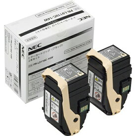 【純正品】 NEC PR-L9110C-14W トナーカートリッジ ブラック (2本パック)