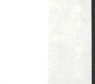 プレス機用糊付き裏打紙 はやわざ 額用糊付鳥の子 36cm×50ｍ巻 裏打ち紙 安価 プレス機用 糊付 和紙 日本最大の 裏打紙
