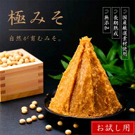 無添加 極みそ 500g袋入【お試し用】｜ 18割麹 甘みそ 送料無料 味噌 みそ 蔵元直送 米みそ 麹みそ 長期…