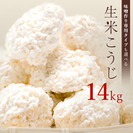 麹 生米こうじ 14kg (1kg×14個) 用途で選べる2種類の麹 蔵元直送 新鮮 国産 会津産 コシヒカリ 無添加 こうじ 糀 生麹 生糀 生こうじ 生米麹 生米糀 生米こうじ 米こうじ 甘酒 味噌作り 塩麹 醤油麹 麹水 甘さにこだわった 本格生麹