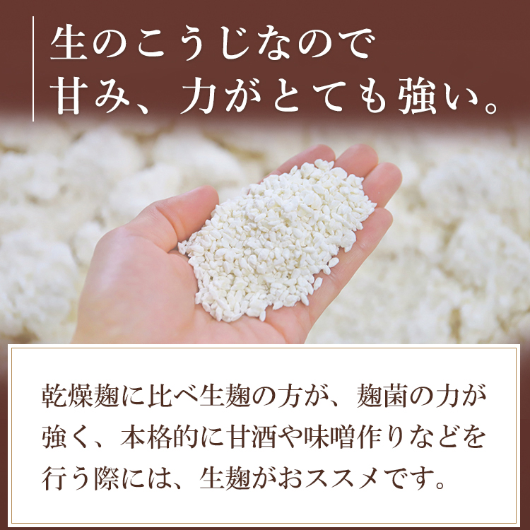 楽天市場】選べる 生米こうじ 2kg (1kg×2袋) 送料無料 蔵元直送 新鮮