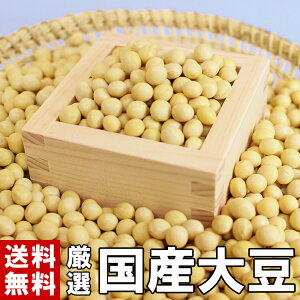 哤 Y I哤 900g`20kg b  ߘa6NY 2024NY I哤 哤  _CY  ܂ } Y  X ϓ   [ 哤  |哤 XIԌ