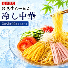 冷し中華 冷やし中華 生麺【選べる 3食・8食・10食】｜ 送料無料 只見生らーめん 冷し麺 冷麺 生ラーメン 熟成多加水麺 160g ストレートスープ80ml 太めん 細めん もちもち つるつる 送料無料 夏季限定 老舗製麺所直送