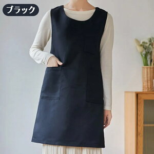 y15%OFF P2{ }\zGv   VɂȂɂ Ԃ邾 Ԃ y fB[X 킢 s[X  Čy  _ Vv n ۈm JtF 