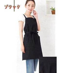 y20OFF ԌzGv   Gv 킢 l Gv Ԃ邾 킢 O 傫TCY ۈm i` k JtF ؍ n Vv Xg e