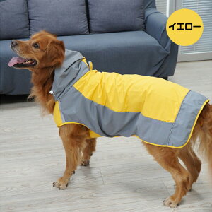 y20%OFFN[|ŁAP2{ 11/27܂Łz CR[g ^ ^ C[W[ IWi ^ p ̕ hbOEFA J ̃Jbp JH    JH h ~J  |`