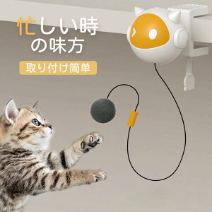 Lp dߋ L lR   ybgpi V ֗p qL ^s dCL̂ L̂ L̂ ybgp O p