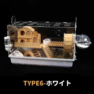 nX^[ P[W œK X^[CgP[W SʃNA  ^TCY P[W L ̐^ K ֗ ϋv ʂ悢 S[fnX^[ bg nlY~ ঒ 