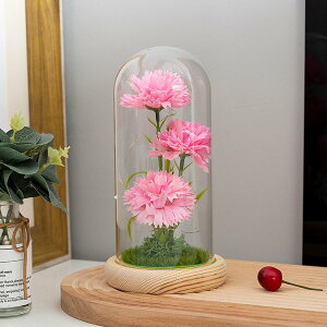 vU[uht[ KXh[ J[l[V 3  ̓ v[g LEDCg LL LO/a   ~ ~ 茳{