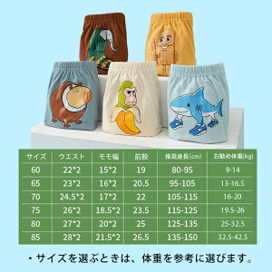 C^AuCbg Italian brainrot gDgDgDTt[ TungTungTungSahur Tralalelo Tralala u[t j̎q 5Zbg LbY pc  ʋC gEg ʔ q V[