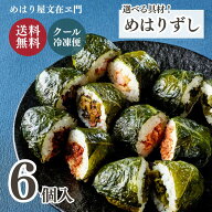 【10/15(木)20:00～ポイント7倍】高菜のおにぎり 【送料無料】 めはりずし 6個入 / お取り寄せ 冷凍おに…