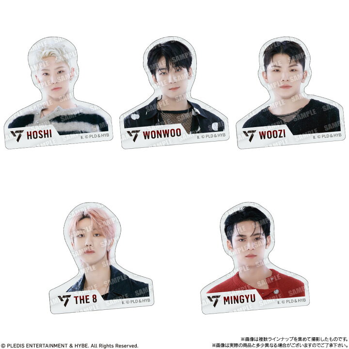 楽天市場】賞味期限2024年5月【12個入BOX】バンダイ SVT GUMMI 2 