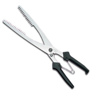 Fs ͂͂ 20cmy nT~  ͂ p Lb`oT~ Ɩp z