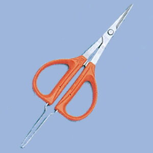 ߐԂǂ sZbgt B300SP 21.8cmy nT~  ͂ p Lb`oT~ Ɩp z