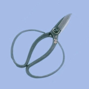  J}L No.200 65.5cmy nT~  ͂ p Lb`oT~ Ɩp z