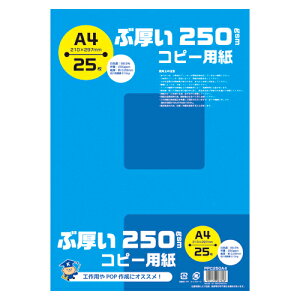 X[p[SALEI_Gg[Ń|Cg5{!^{m[g(LNgE) ԌRs[p PPC250A4 25