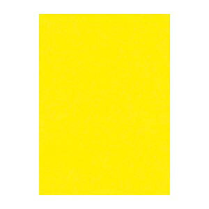 X[p[SALEI_Gg[Ń|Cg5{!^y܂Ƃߔ10Zbgiz ebN j[J[R 4NCR-319  100