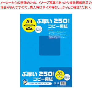 【まとめ買い10個セット品】ぶ厚い250gsmコピー用紙A4 PPC250A4 1冊