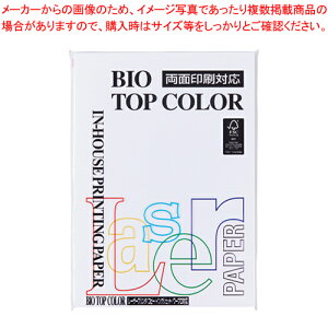 oCIgbvJ[ A4 100 BT100 zCg 1