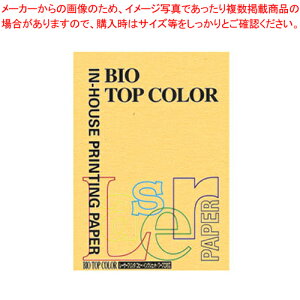 oCIgbvJ[ A4 100 BT102 S[h 1