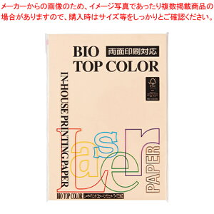 oCIgbvJ[ A4 100 BT115 T[ 1