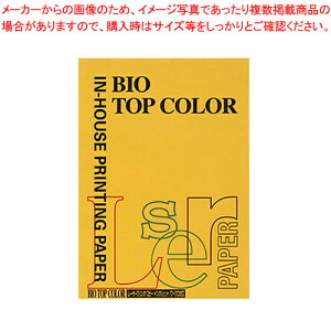 oCIgbvJ[ A4 100 BT123 OS[h 1