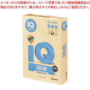 oCIgbvJ[ A4 250 BT802 S[h 1