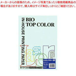 oCIgbvJ[ A4 50 BT407 u[ 1