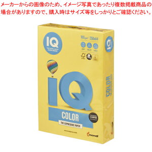 oCIgbvJ[ A4 250 BT829 }X^[h 1