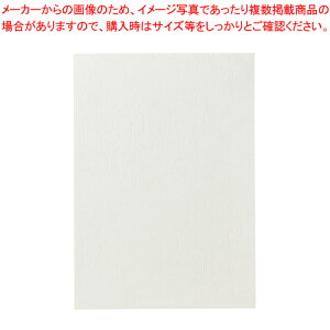 XgbNJo[ A4 100 P12A4BZ-WH V 1