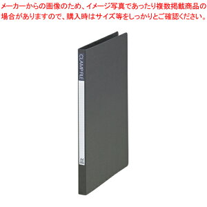 Nvt@C A4  SCL-A4-DG _[NO[ 1