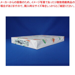 y܂Ƃߔ10ZbgizNEWt@CJ[ B4 500 B4-011 Cgu[ 1