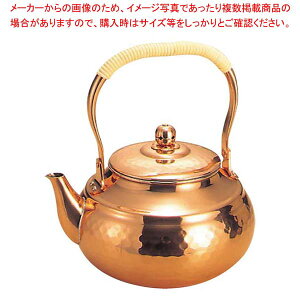 �� �Ɩړ� �j���[�^�C�v �P�b�g�� SC-2009 2L