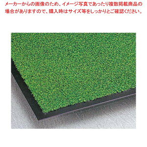 ���փ}�b�g �j���[�g���r�A�����n�t ��(900×600)�� MR0342401