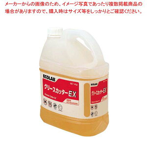 p O[XJb^[EX 4kg