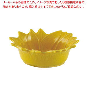 A|[A T_{[ 22cm pCibv 070222016y Ɩp  ~[pi ~[@ vp ̔Ȃ  z