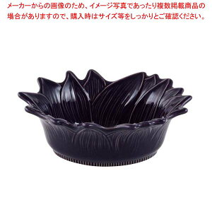 A|[A T_{[ 22cm iX 070222018y Ɩp  ~[pi ~[@ vp ̔Ȃ  z