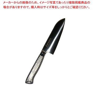 EBM E-pro PLUS �O���^ 16.5cm �V���o�[