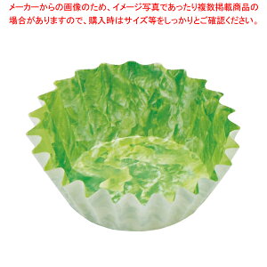 xWJbv ^X(500)ی^ 10[