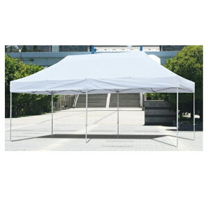 ^b`Cxgeg{6×3m 61-436-79-2 y Ă̑i čՂE CxgpiiObYj ^b`Cxgeg z