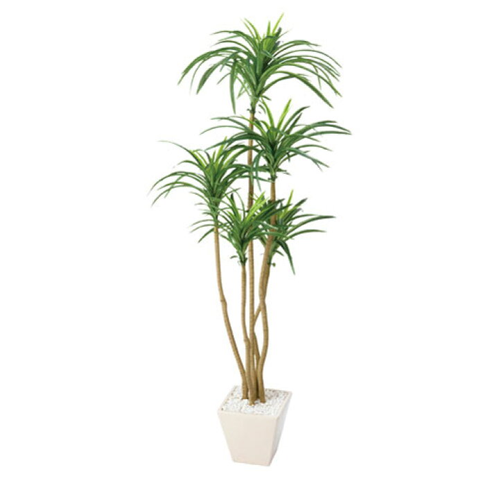 楽天市場 人工観葉植物 人口樹木 コンシナ 演出 ディスプレイ用品 店内装飾用品 フェイクグリーン 人工樹木 人工樹木フェイクグリーン 厨房卸問屋 名調